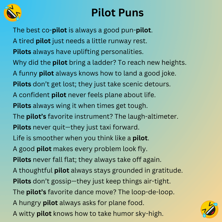 Pilot Puns