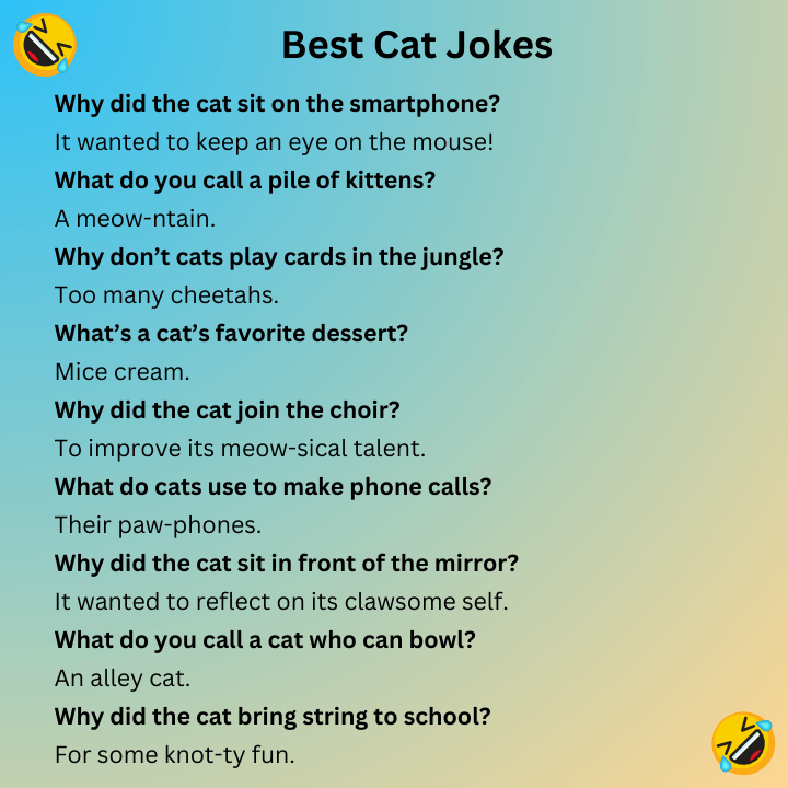 Best Cat Jokes