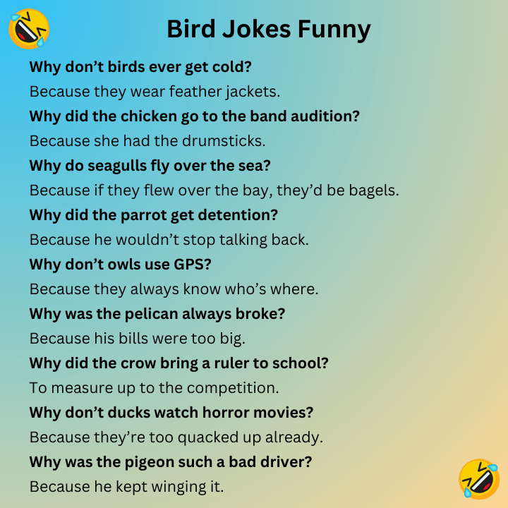 Bird Jokes Funny