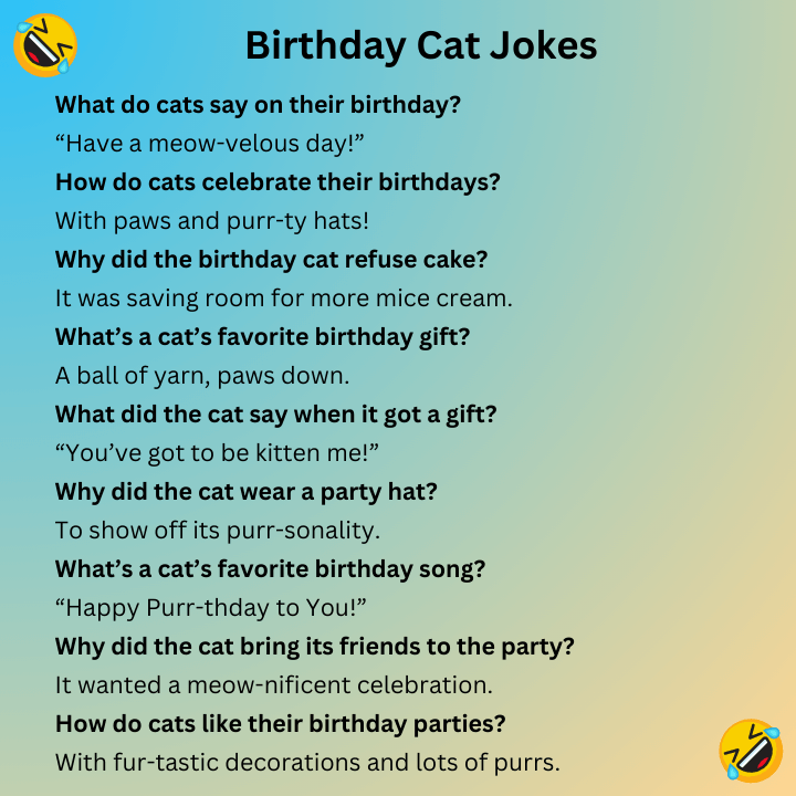 Birthday Cat Jokes