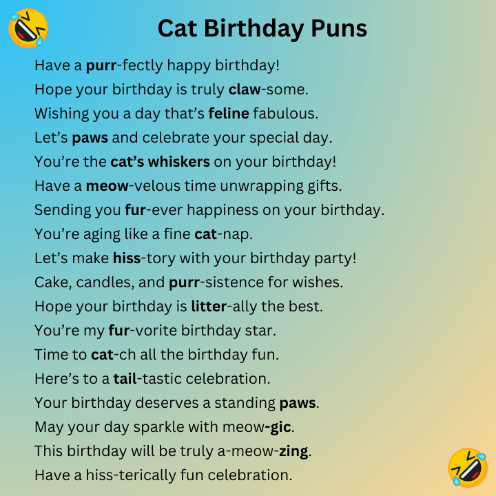 Cat Birthday Puns