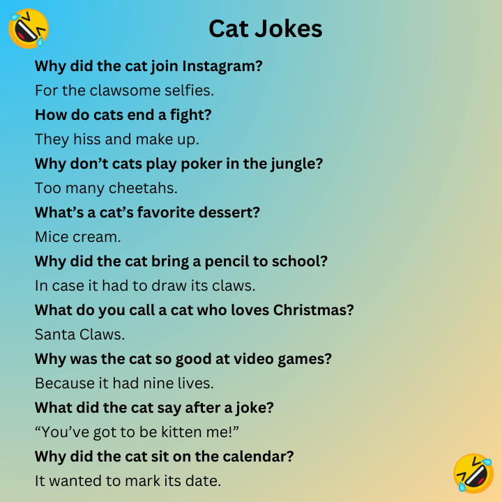 Cat Jokes