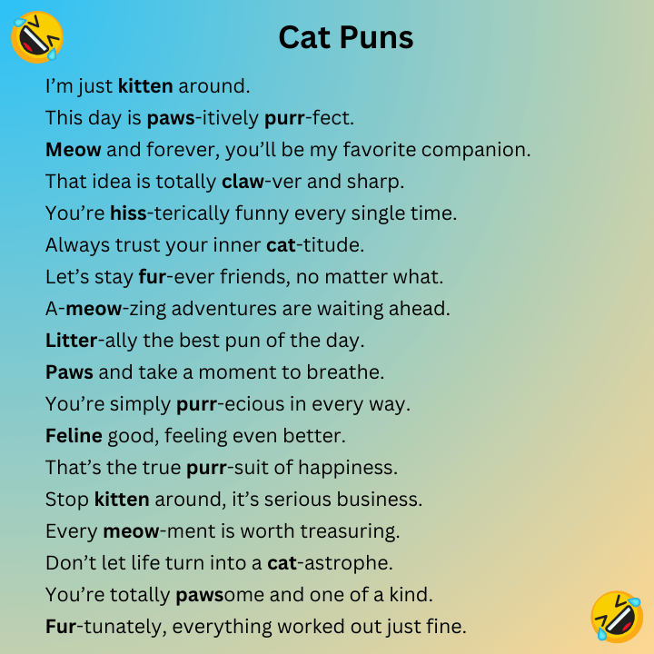 Cat Puns