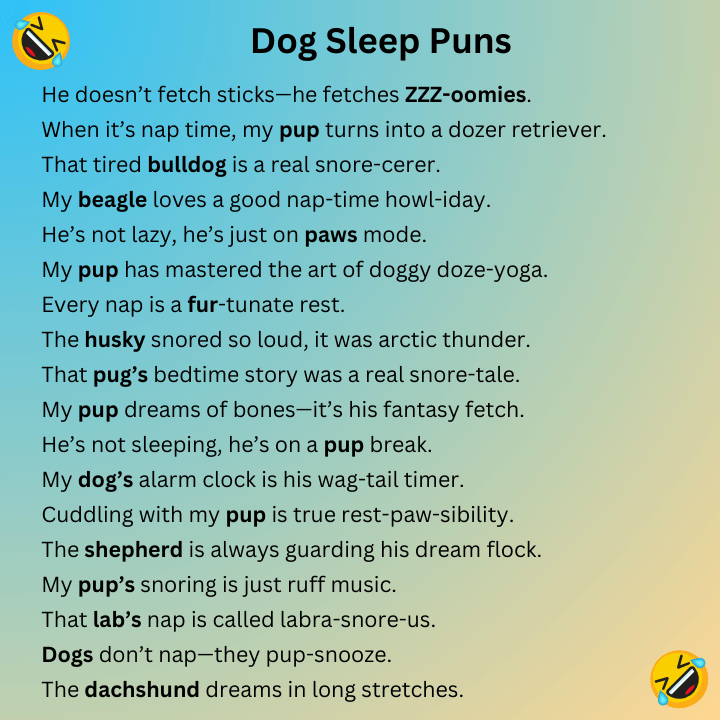 Dog Sleep Puns