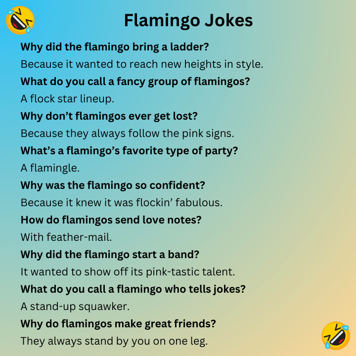 Flamingo Jokes