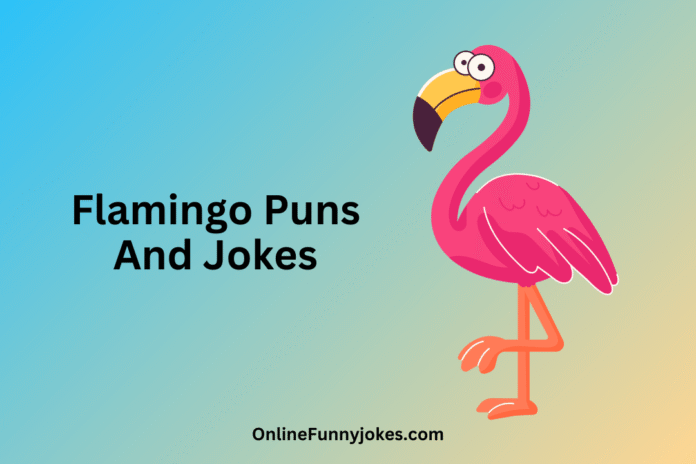 Flamingo Puns