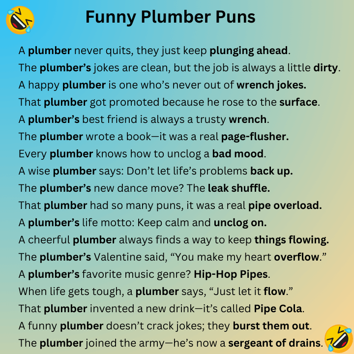 Funny Plumber Puns