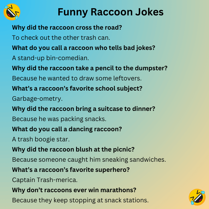 Funny Raccoon Jokes