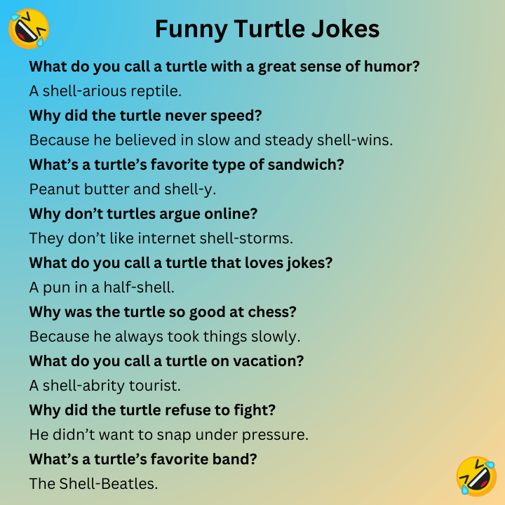 Funny Turtle Jokes