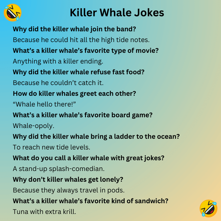 Killer Whale Jokes