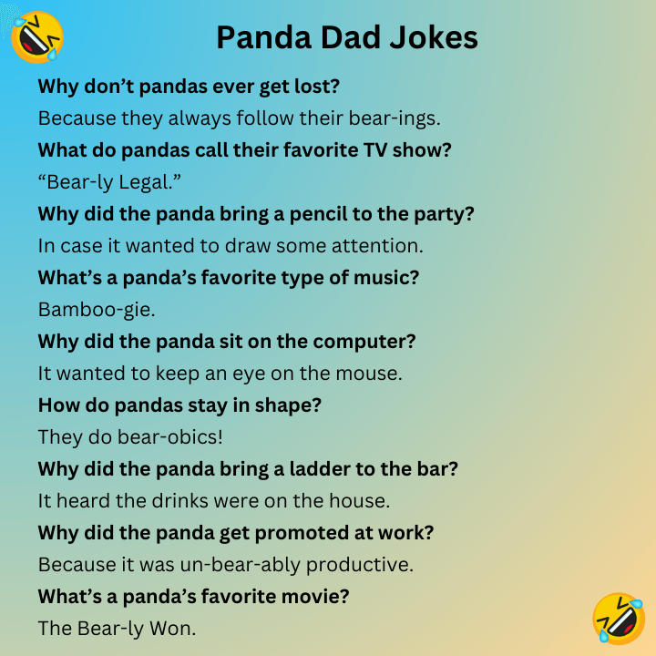 Panda Dad Jokes