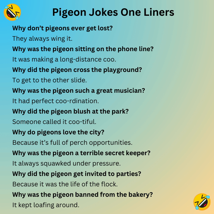 Pigeon Jokes One Liners