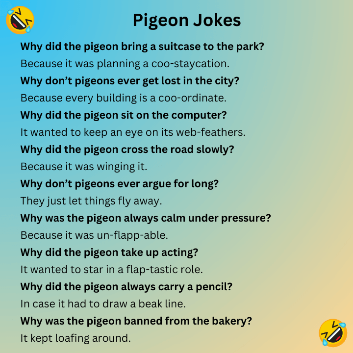 Pigeon Jokes