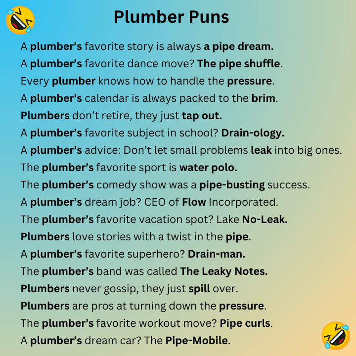 Plumber Puns