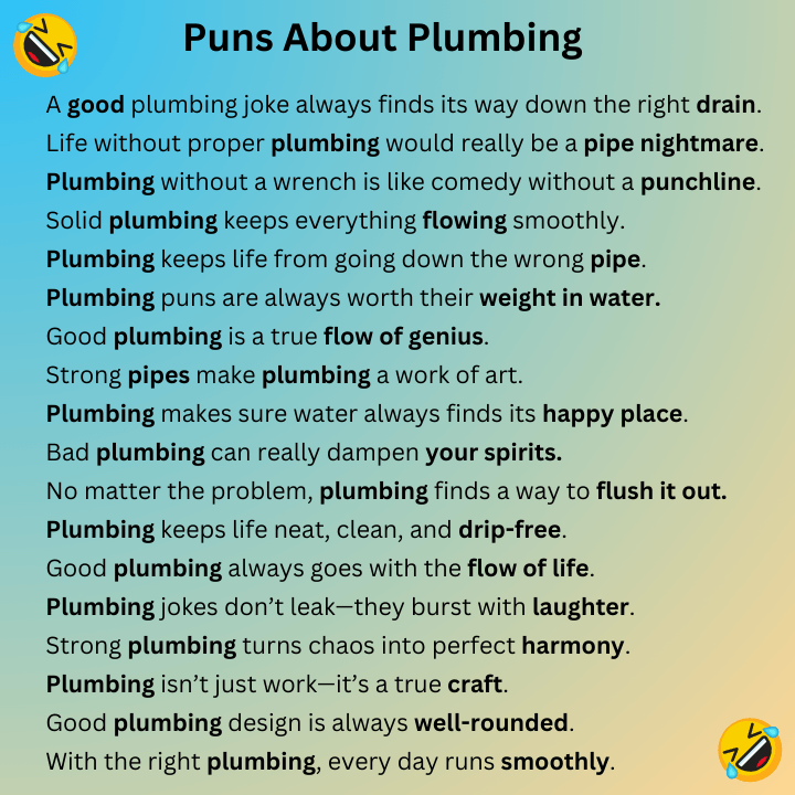 Puns About Plumbing