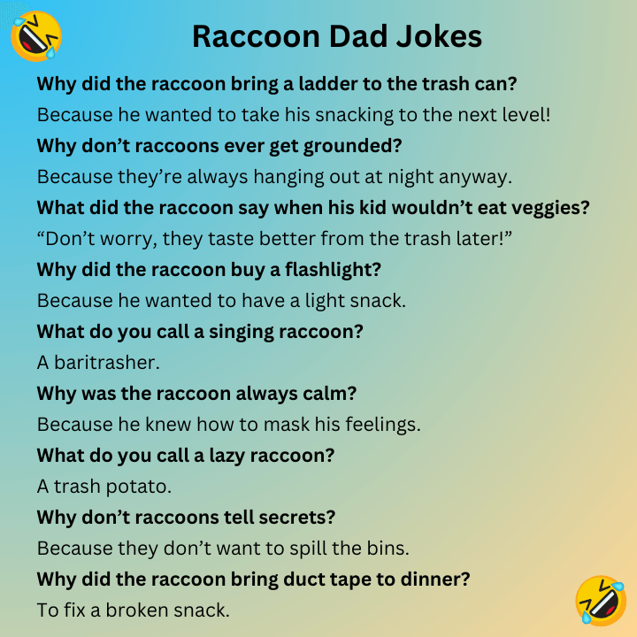 Raccoon Dad Jokes