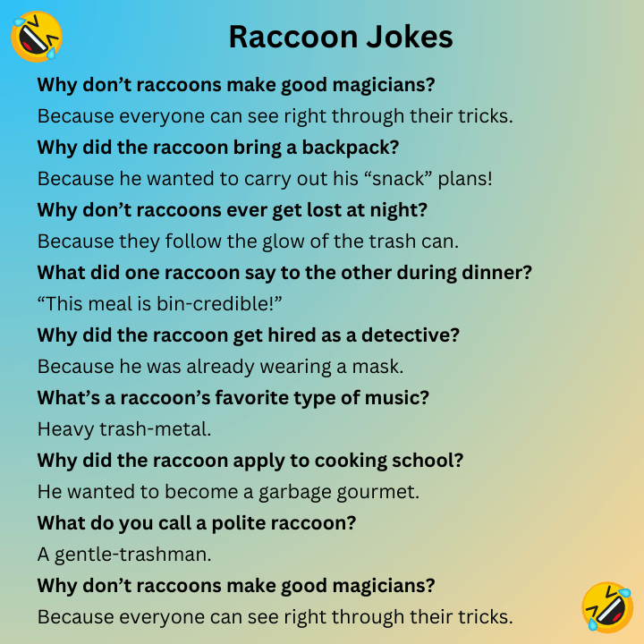 Raccoon Jokes