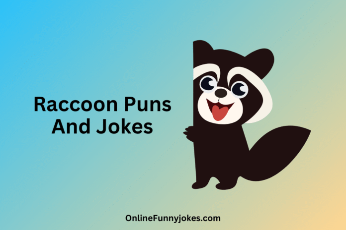 Raccoon Puns