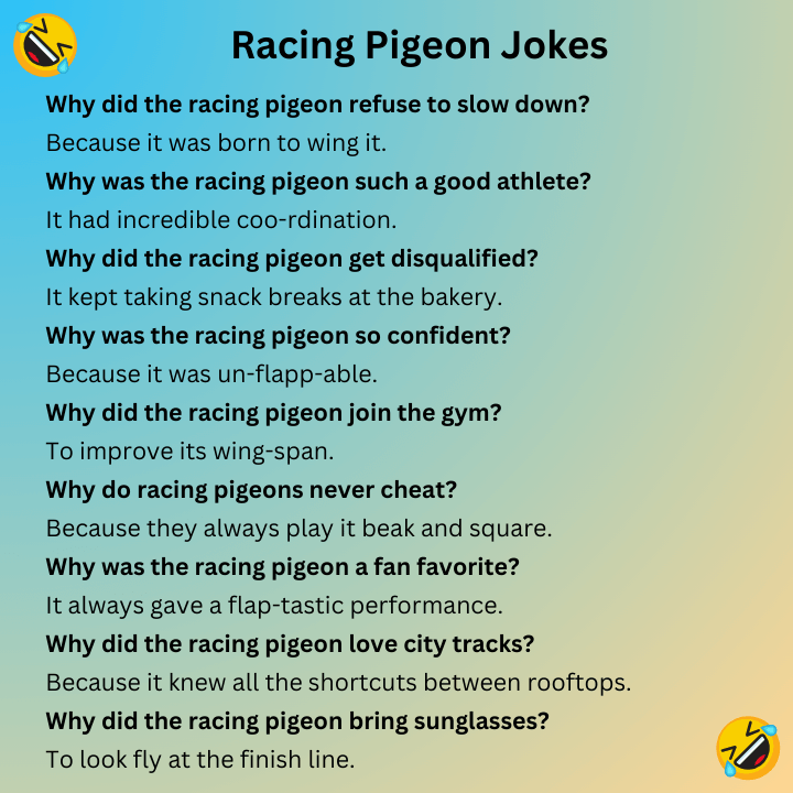 Racing Pigeon Jokes