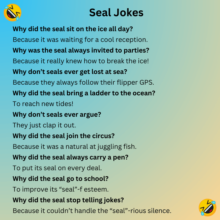 Seal Jokes