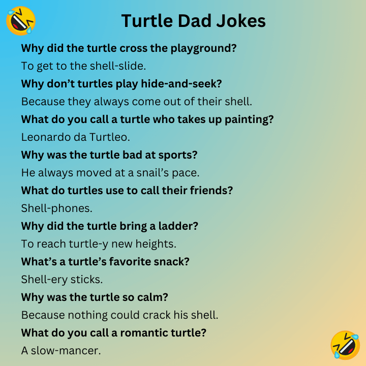 Turtle Dad Jokes
