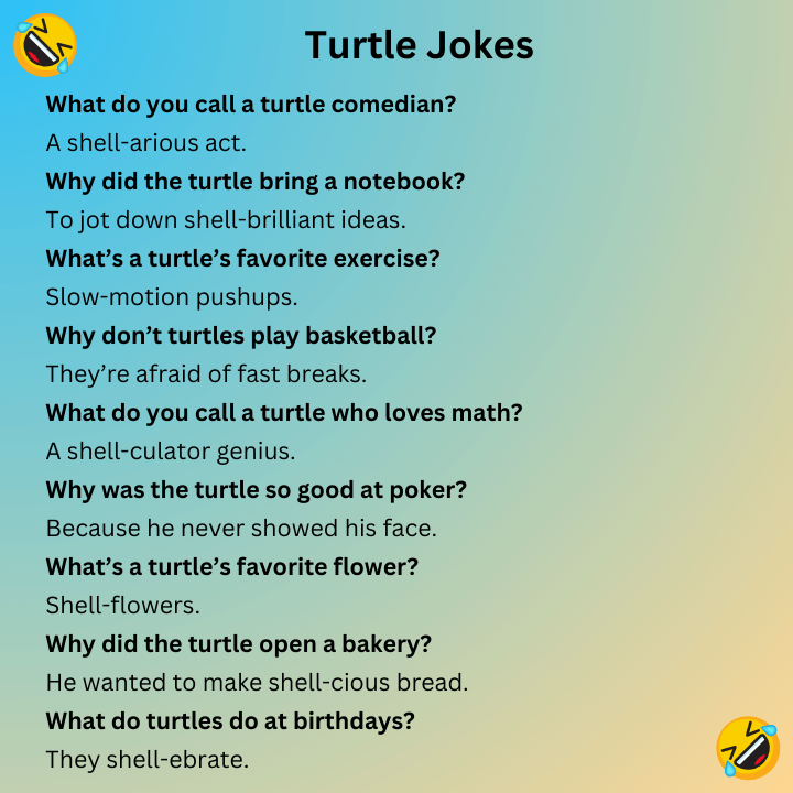 Turtle Jokes