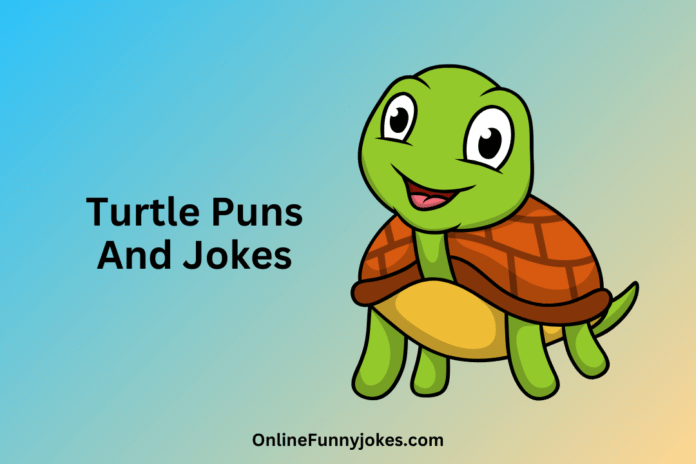 Turtle Puns