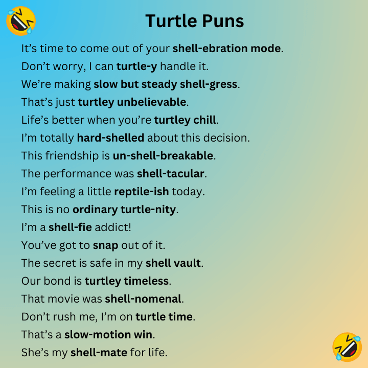 Turtle Puns 