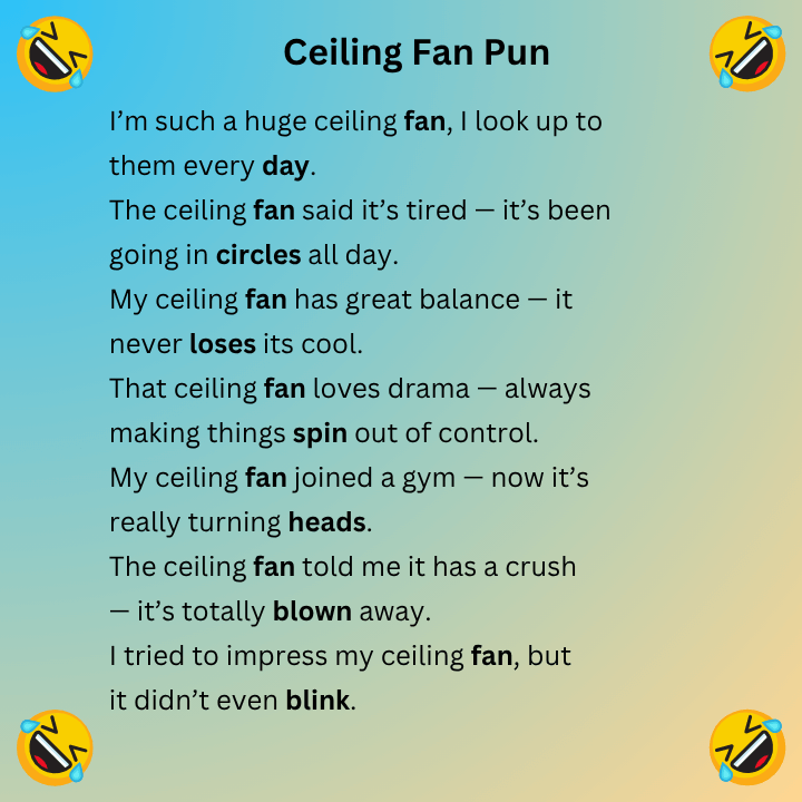 Ceiling Fan Pun