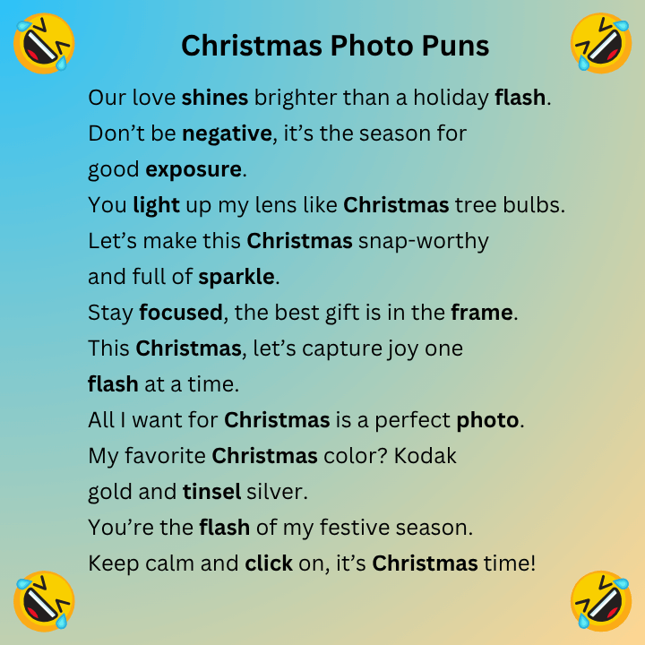 Christmas Photo Puns