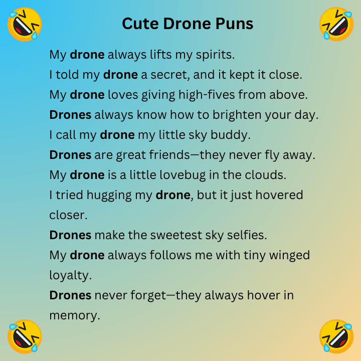 Cute Drone Puns