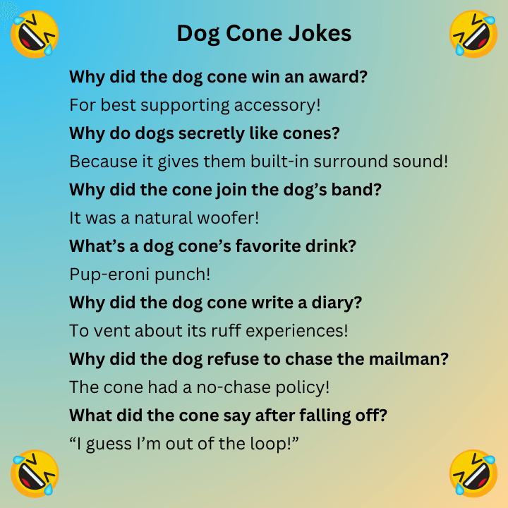 Dog Cone Jokes