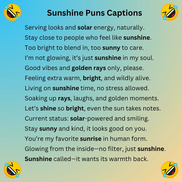 Sunshine Puns Captions
