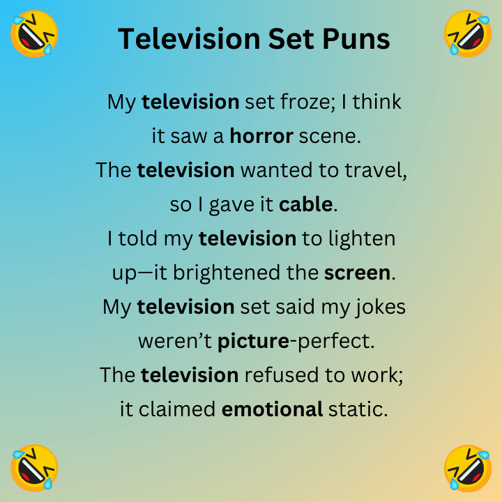 Television Set Puns