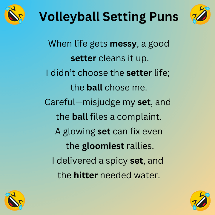 Volleyball Setting Puns
