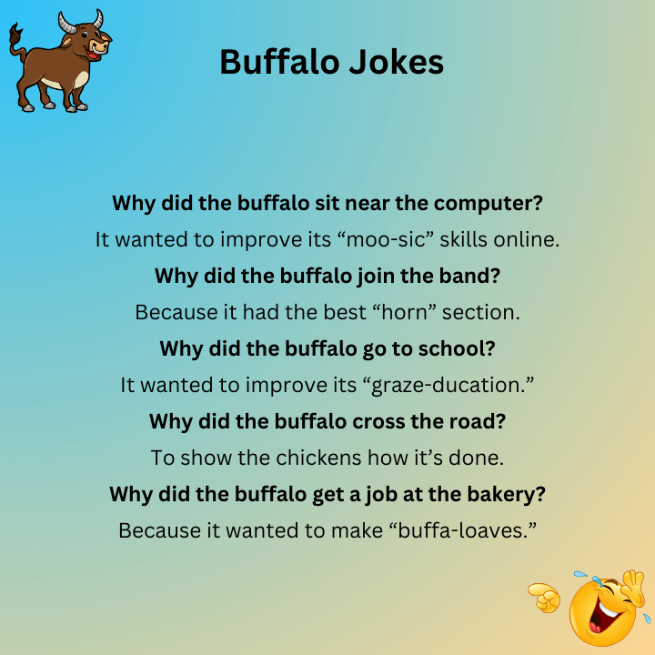 Buffalo Jokes