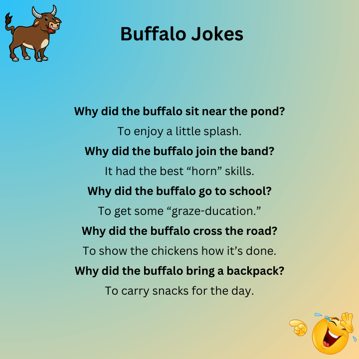 Buffalo Jokes One Liners