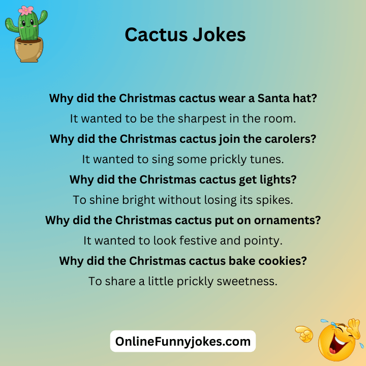 Christmas Cactus Jokes