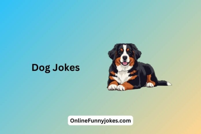 Dog Jokes