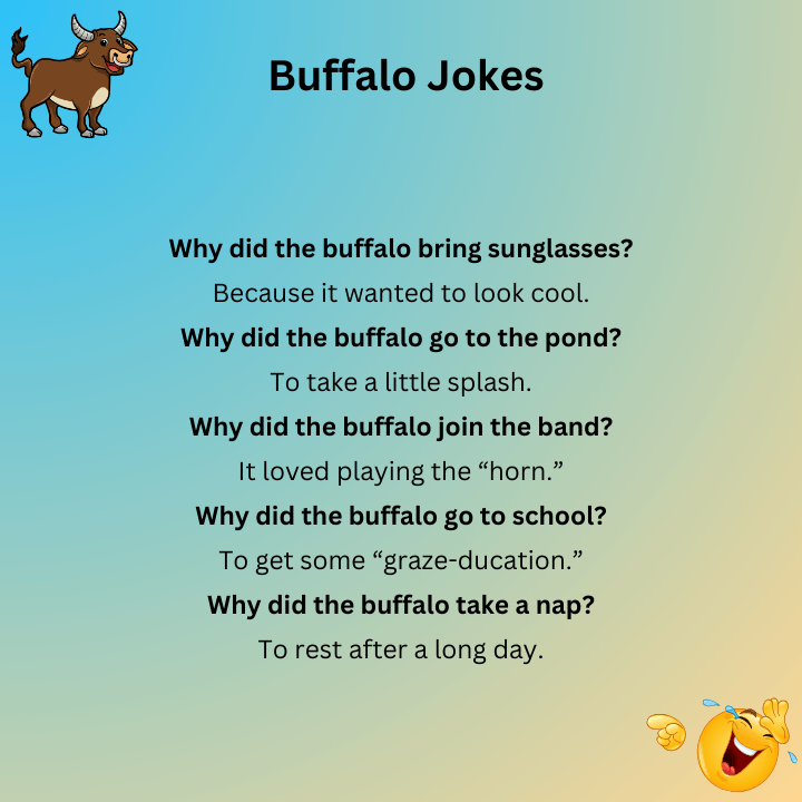 Short Buffalo Jokes