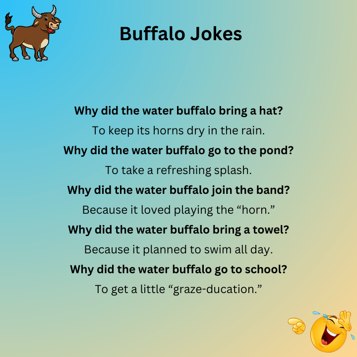 Water Buffalo Jokes