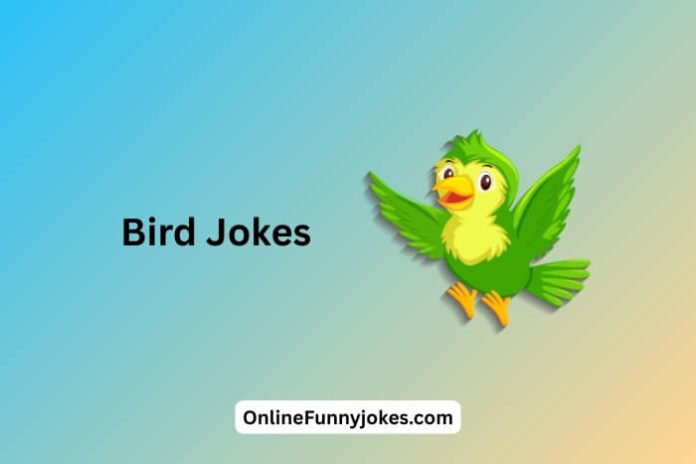 Bird Jokes