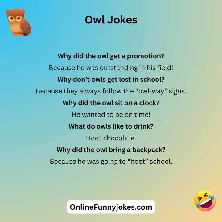 Owl Jokes