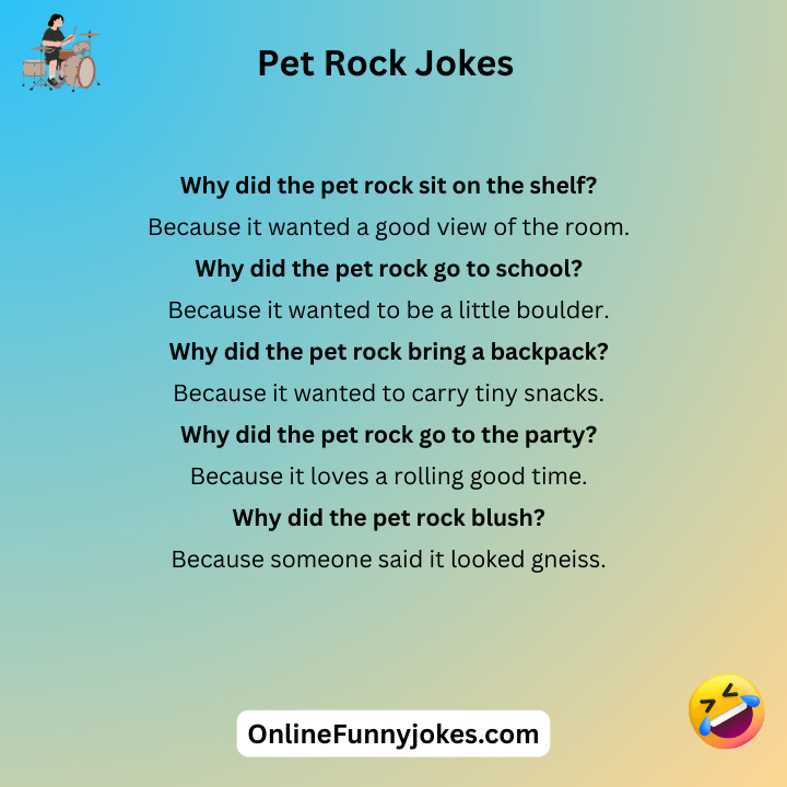 Pet Rock Jokes