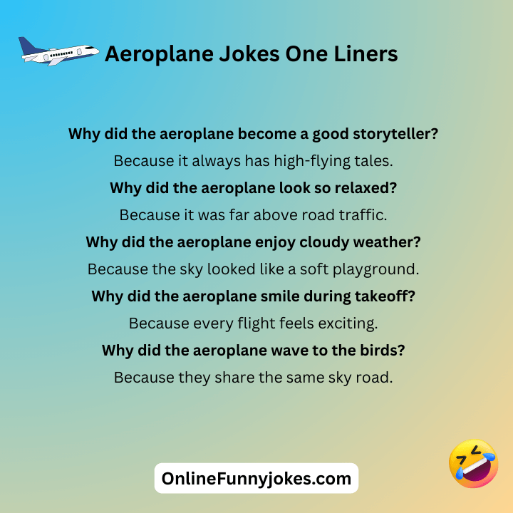 Aeroplane Jokes One Liners