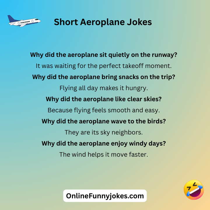 Short Aeroplane Jokes