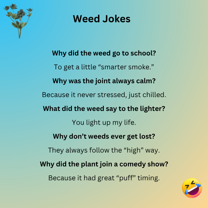 Funny Weed Jokes