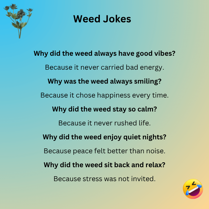 Good Weed Jokes