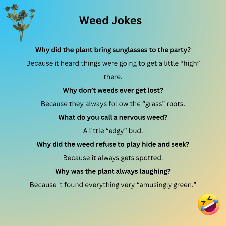 Weed Jokes