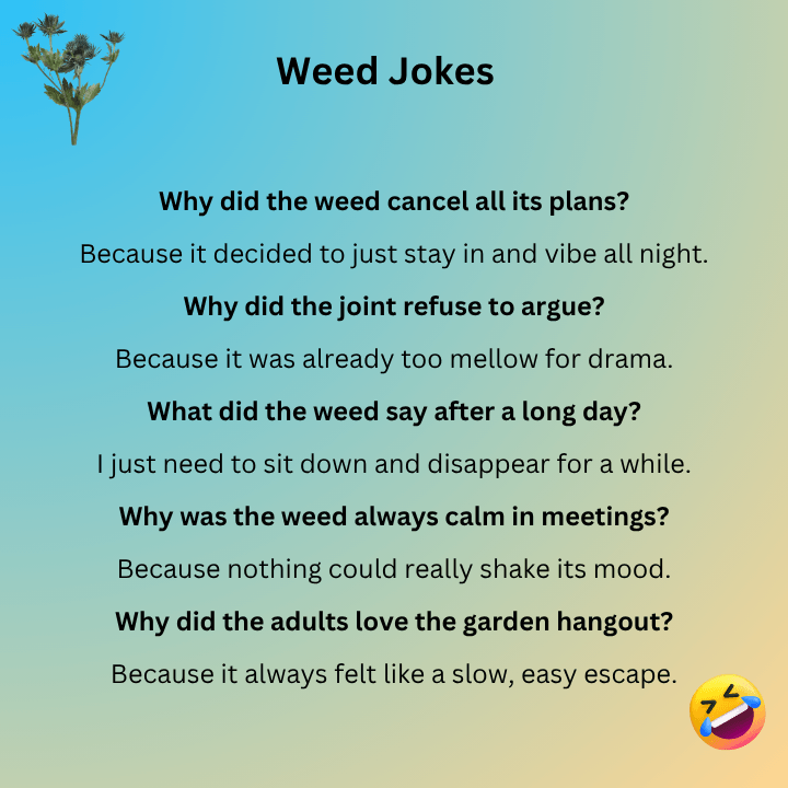 Weed Jokes For Adults